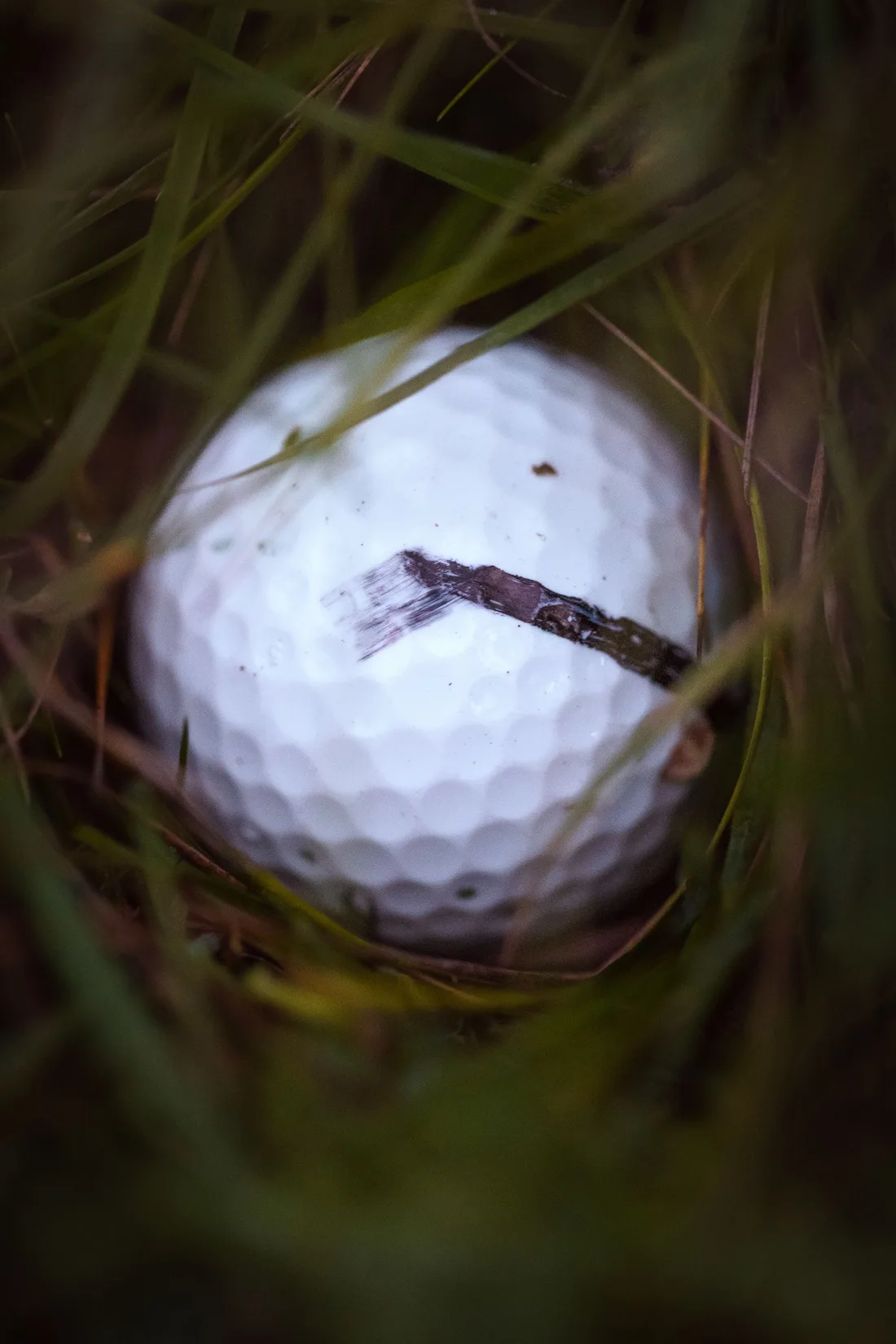 A golfer studying the ball and the shot ahead